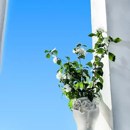 Stellina 2* Скиатос