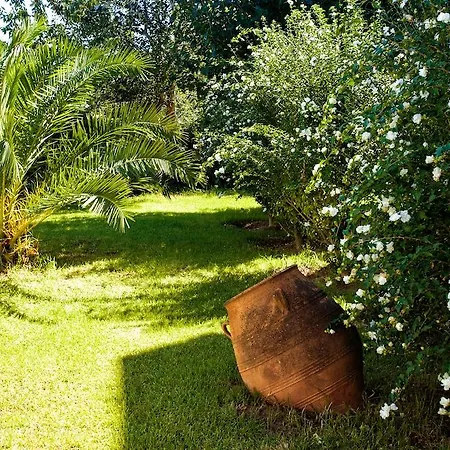 Отель Stellina 2*