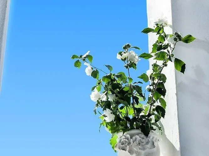 Stellina 2* Skiathos-stad